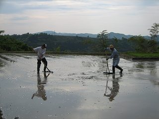 IMG_2480.jpg