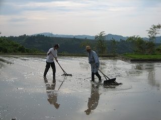IMG_2481.jpg