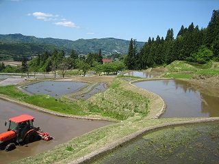 IMG_2489.jpg