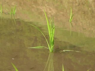 IMG_2508.jpg