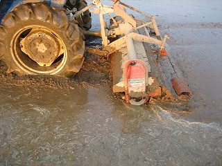 IMG_2518.jpg