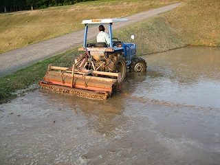 IMG_2519.jpg
