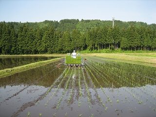IMG_2549.jpg