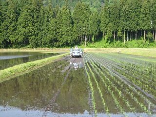 IMG_2551.jpg