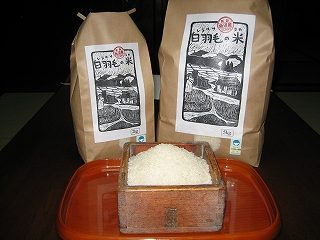 IMG_2572.jpg