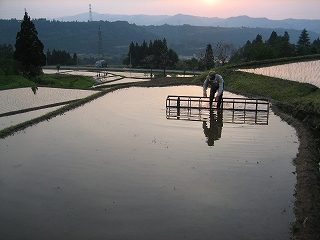 IMG_2588.jpg