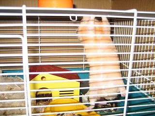 IMG_2592.jpg