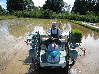 IMG_2647.jpg