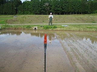 IMG_2653.jpg