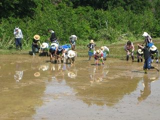 IMG_2670.jpg