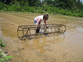 IMG_2677.jpg