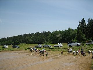 IMG_2679.jpg