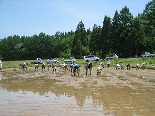 IMG_2685.jpg
