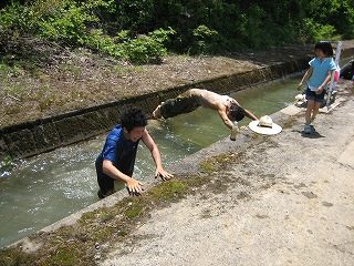 IMG_2687.jpg