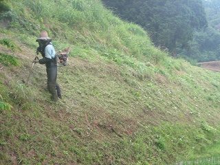 IMG_2776.jpg