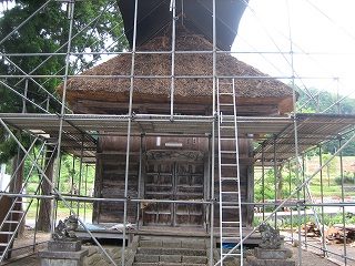 IMG_2801.jpg