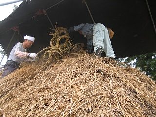 IMG_2804.jpg