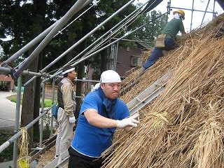 IMG_2805.jpg