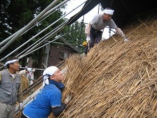 IMG_2808.jpg