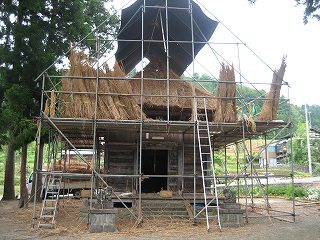 IMG_2813.jpg