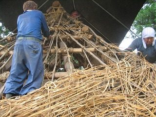 IMG_2814.jpg