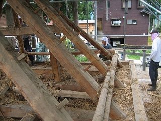 IMG_2816.jpg