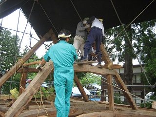 IMG_2818.jpg
