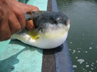 IMG_2839.jpg
