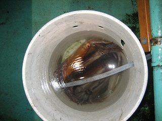 IMG_2841.jpg