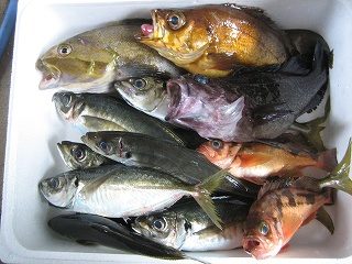 IMG_2843.jpg