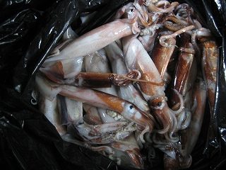 IMG_2844.jpg