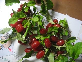 IMG_2851.jpg
