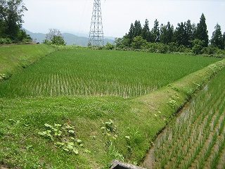 IMG_2852.jpg