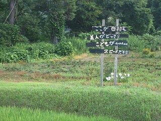 IMG_2961.jpg
