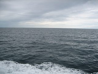 IMG_2981.jpg