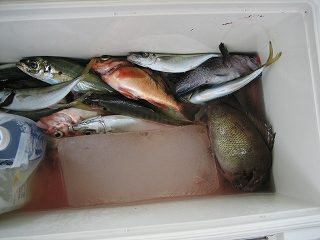 IMG_2983.jpg