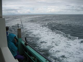 IMG_2984.jpg