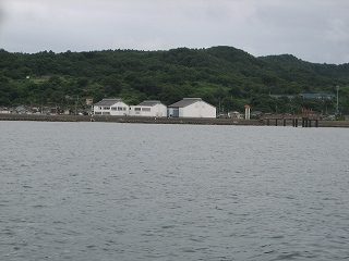 IMG_2985.jpg
