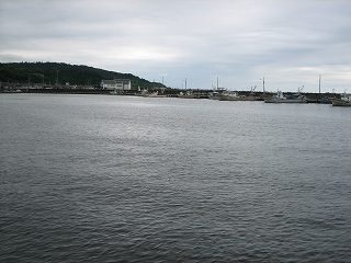 IMG_2987.jpg