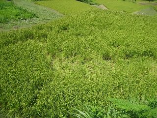 IMG_3003.jpg