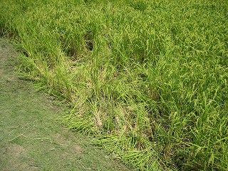 IMG_3004.jpg