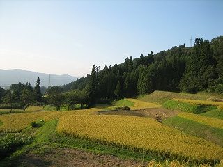 IMG_3035.jpg