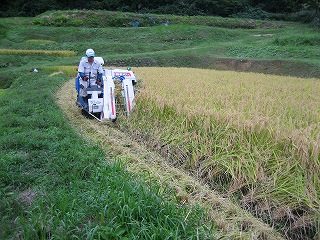 IMG_3056.jpg