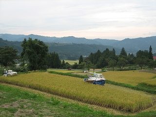 IMG_3059.jpg