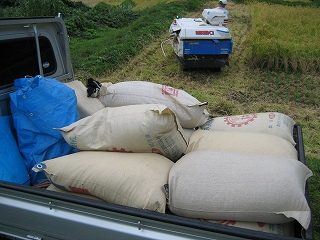 IMG_3060.jpg
