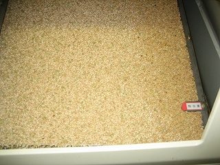 IMG_3065.jpg