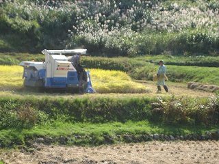 IMG_3081.jpg