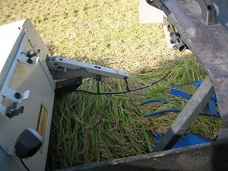 IMG_3085.jpg