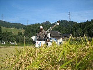 IMG_3087.jpg