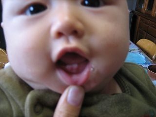 IMG_3089.jpg